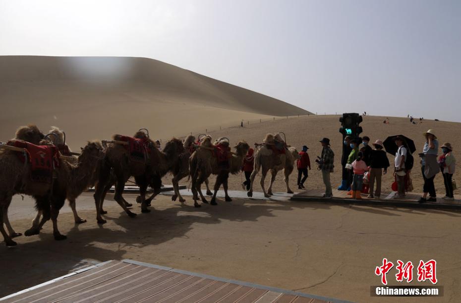 Engarrafamentos nas passagens de camelos s?o registrados no noroeste da China