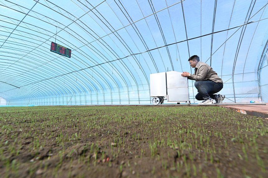 Província de Heilongjiang implementa maquinaria agrícola aut?noma com recurso a navega??o por satélite