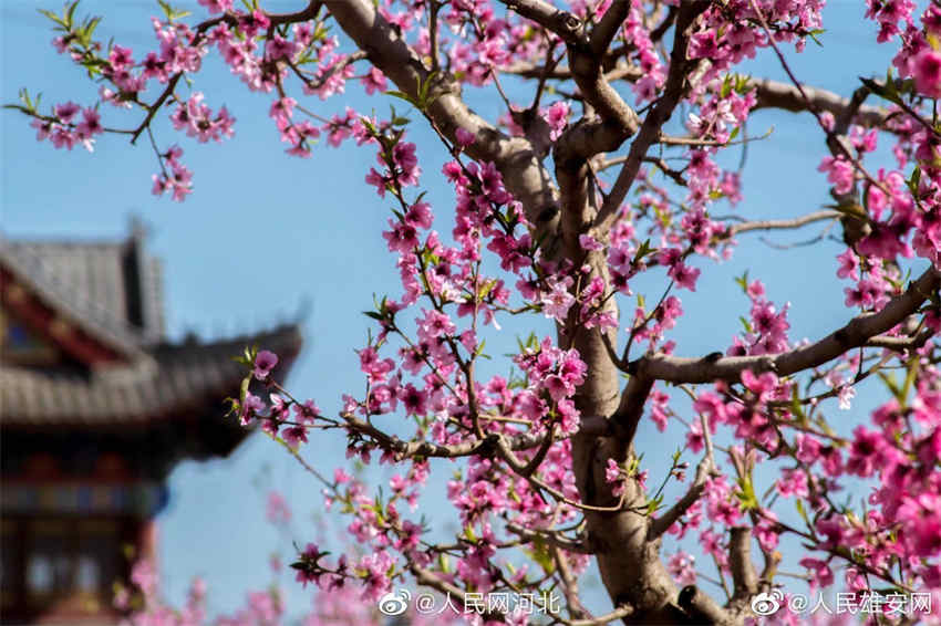 China Post lan?ará selos comemorativos do 50o aniversário das rela??es diplomáticas entre a China e a Espanha