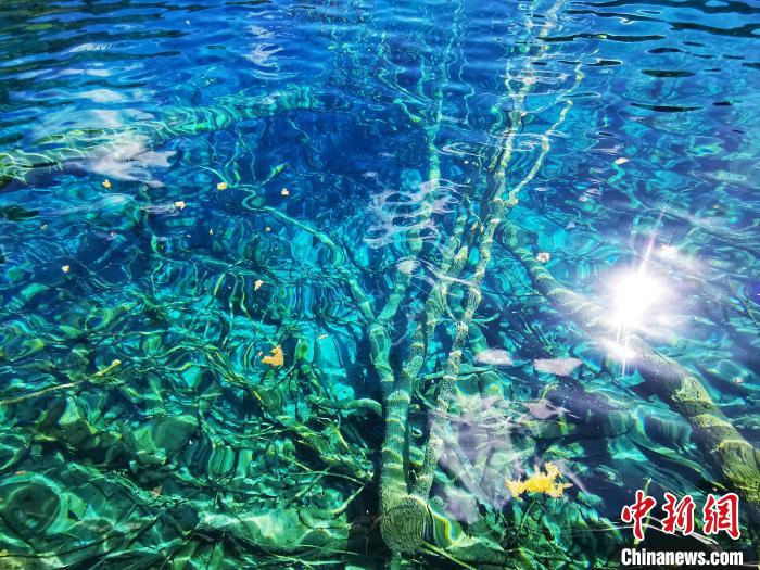 Jiuzhaigou recebeu mais de 1 milh?o de visitantes em 2023