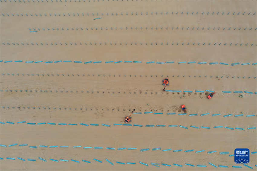 Galeria: base de gera??o de energia fotovoltaica no deserto Kubuqi