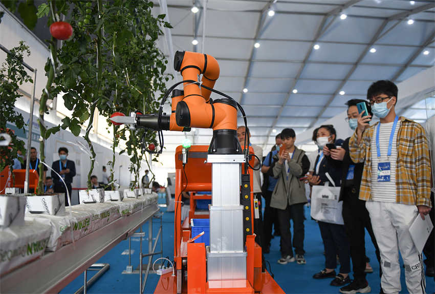 8a Cúpula de Talentos de Robótica e Economia Inteligente da China é realizada em Zhejiang