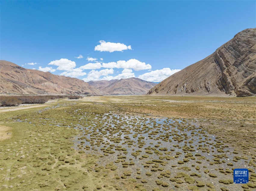 Regi?o do Monte Qomolangma testemunha melhoria do ambiente ecológico, dizem especialistas