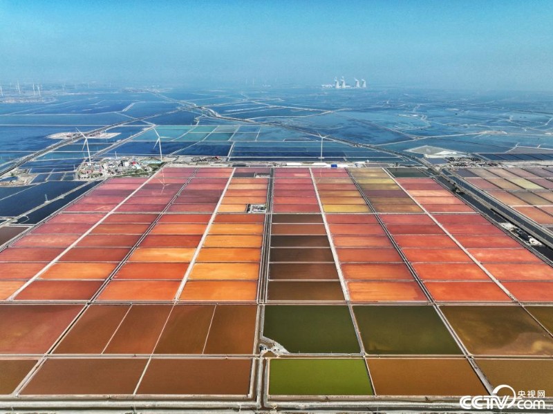 Galeria: campos de sal coloridos no norte da China