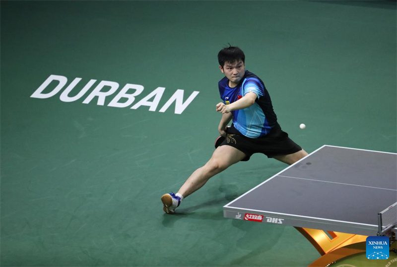 WTTC: Sun Yingsha e Fan Zhendong campe?es mundiais de tênis de mesa