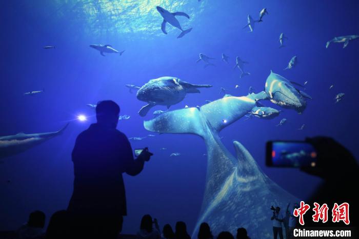Cúpula de 360 graus de teatro traz banquete audiovisual oceanico no leste da China