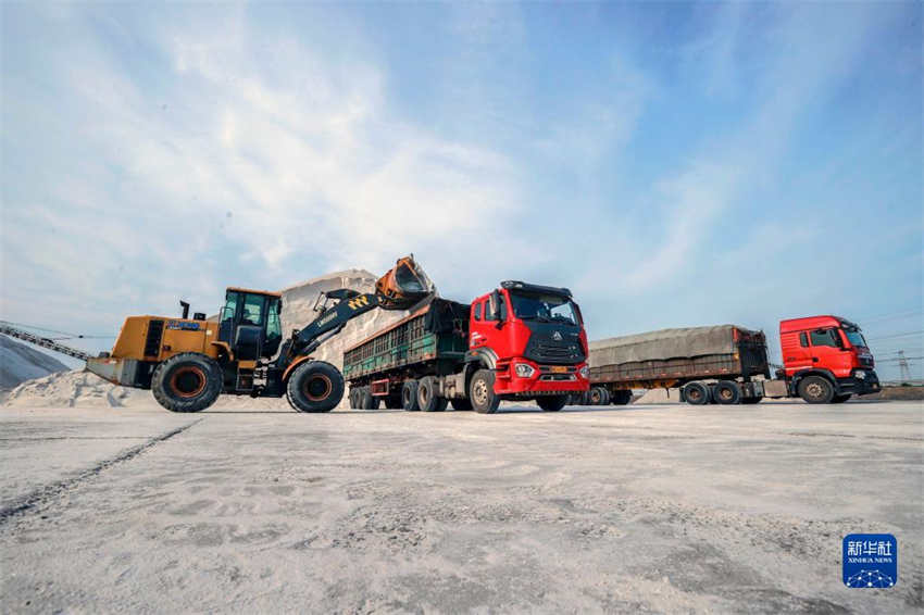 Colheita de ver?o é realizada em campo de sal no norte da China