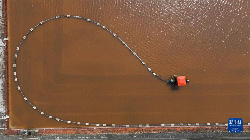 Colheita de ver?o é realizada em campo de sal no norte da China