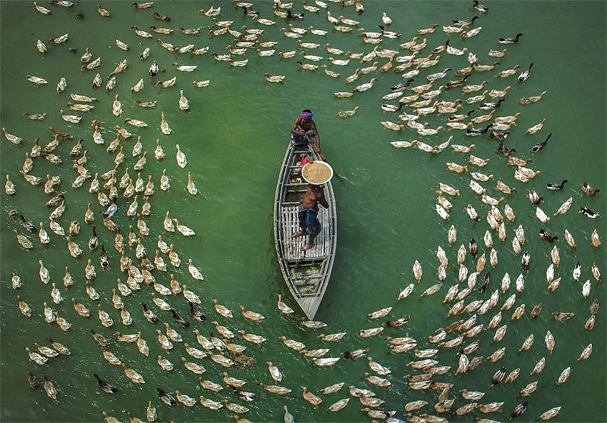 Dia Mundial do Meio Ambiente comemorado com compromisso de restaura??o dos ecossistemas
