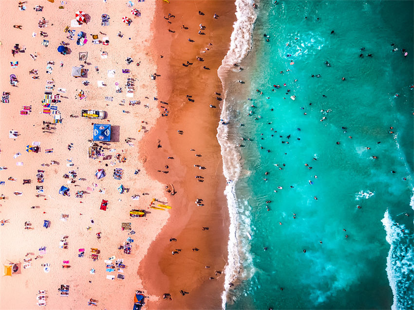 Dia Mundial do Meio Ambiente comemorado com compromisso de restaura??o dos ecossistemas