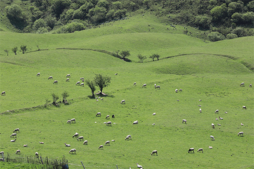 Longnan adere ao conceito de desenvolvimento verde, noroeste da China