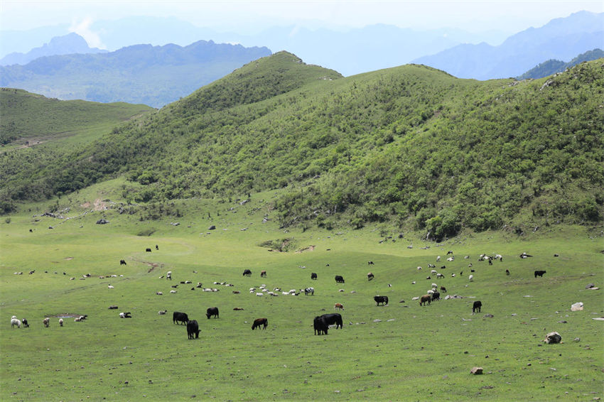 Longnan adere ao conceito de desenvolvimento verde, noroeste da China