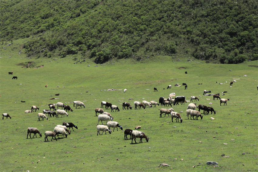Longnan adere ao conceito de desenvolvimento verde, noroeste da China