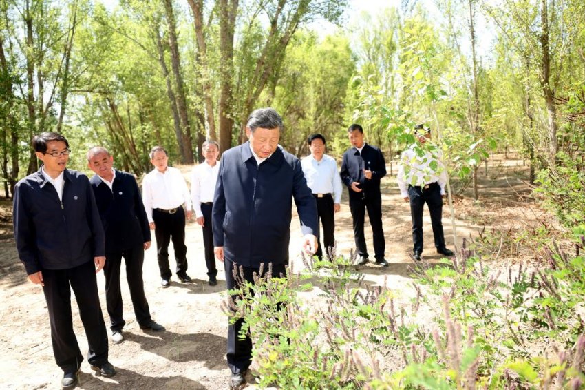 Xi Jinping pede esfor?os sustentados para controlar a desertifica??o