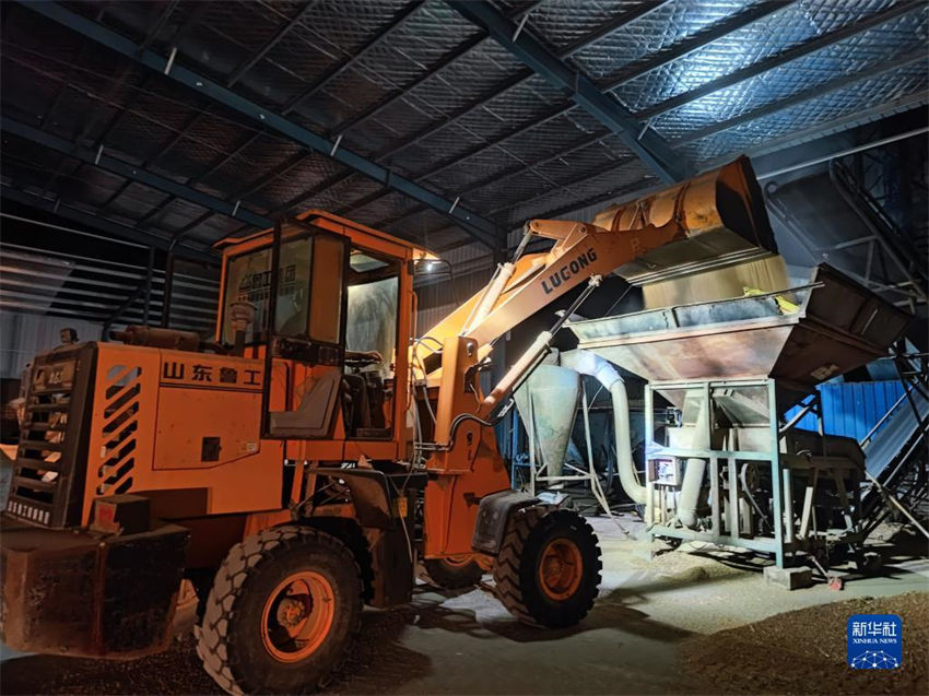 China: muitos lugares est?o ocupados com colheita de trigo