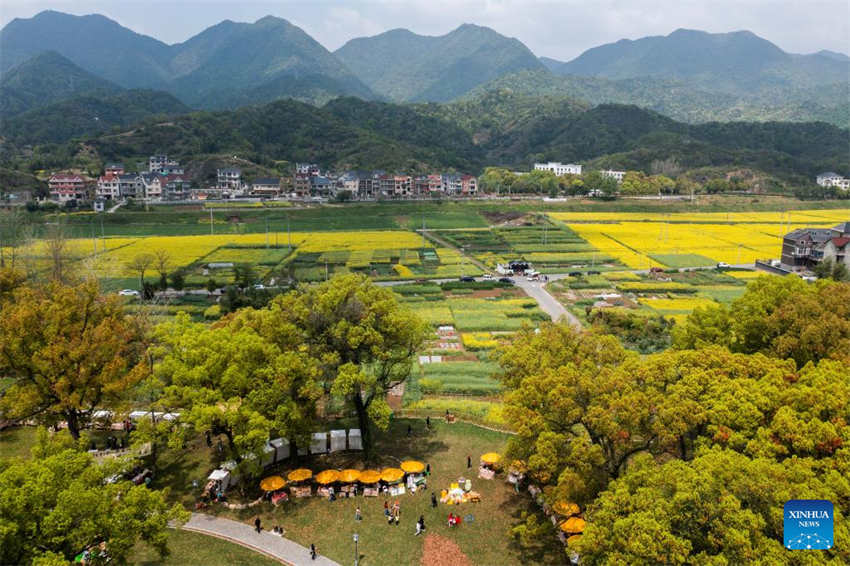 Zhejiang implementa programa de renascimento verde rural para reformar ambiente das aldeias