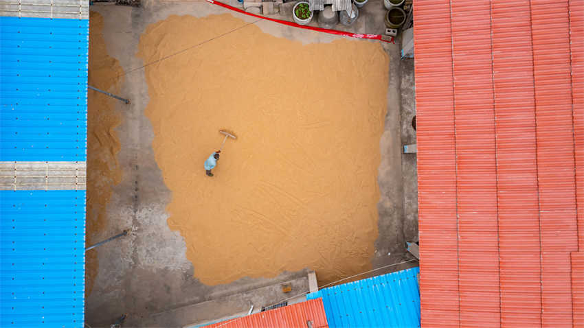 Galeria:?condado de Shanxi aposta na integra??o da agricultura com o paisagismo para atra??o de turistas