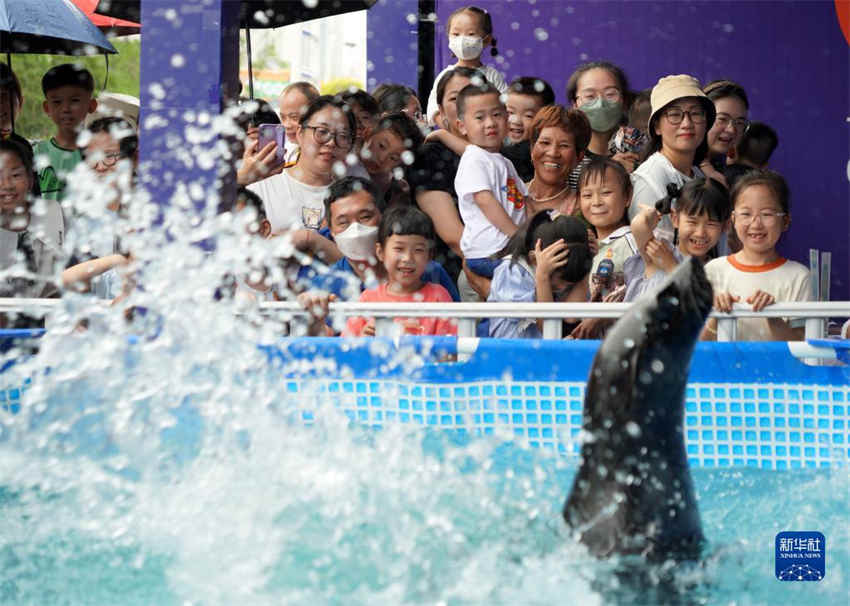 China registrou 106 milh?es de viagens durante o feriado do Festival do Barco do Drag?o