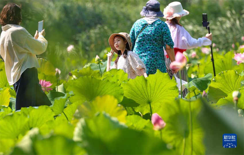 China registrou 106 milh?es de viagens durante o feriado do Festival do Barco do Drag?o