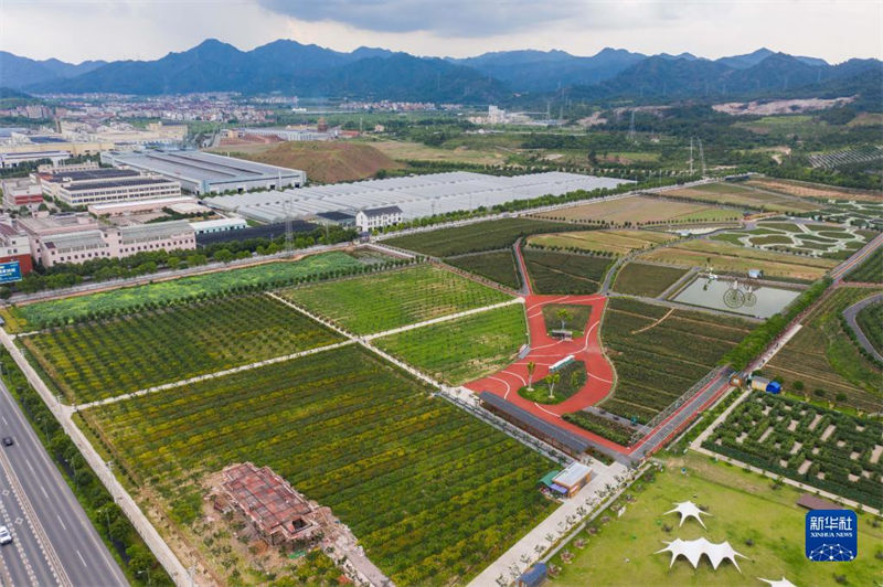 Projeto de Requalifica??o Rural Verde de Zhejiang com resultados tangíveis após 20 anos