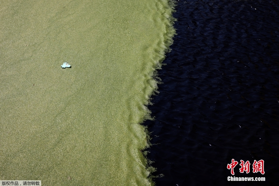 Reino Unido: partes do rio Tamisa em Londres ficam 