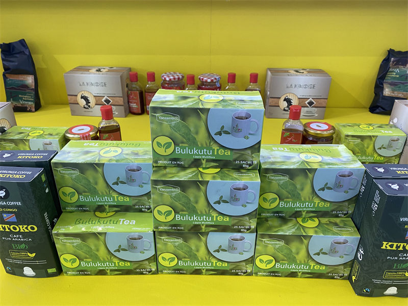 3a Exposi??o Econ?mica e Comercial China-áfrica inaugurada em Changsha, centro da China