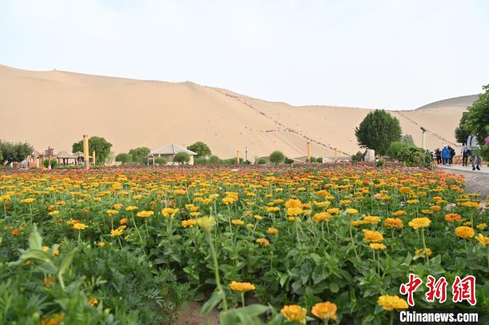 Excurs?es tornam-se populares no deserto de Dunhuang, noroeste da China