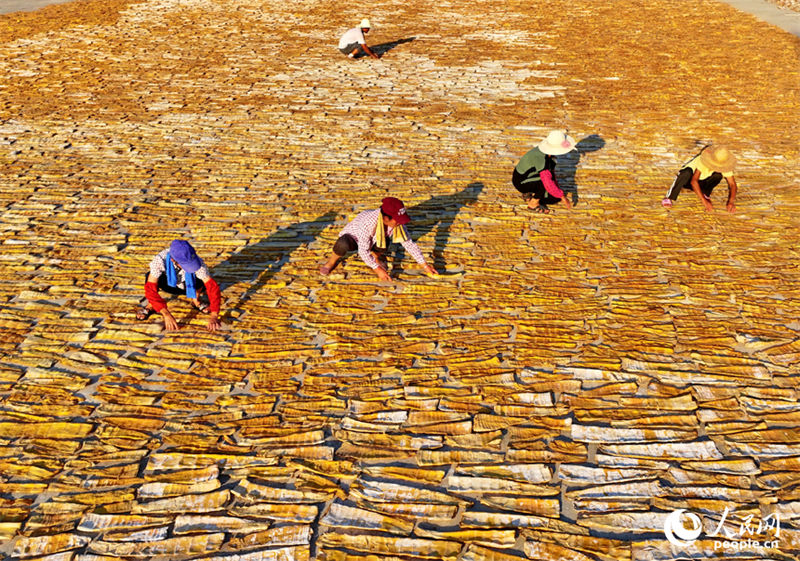 Jiangxi aposta na colheita de rebentos de bambu para aumentar renda em áreas rurais