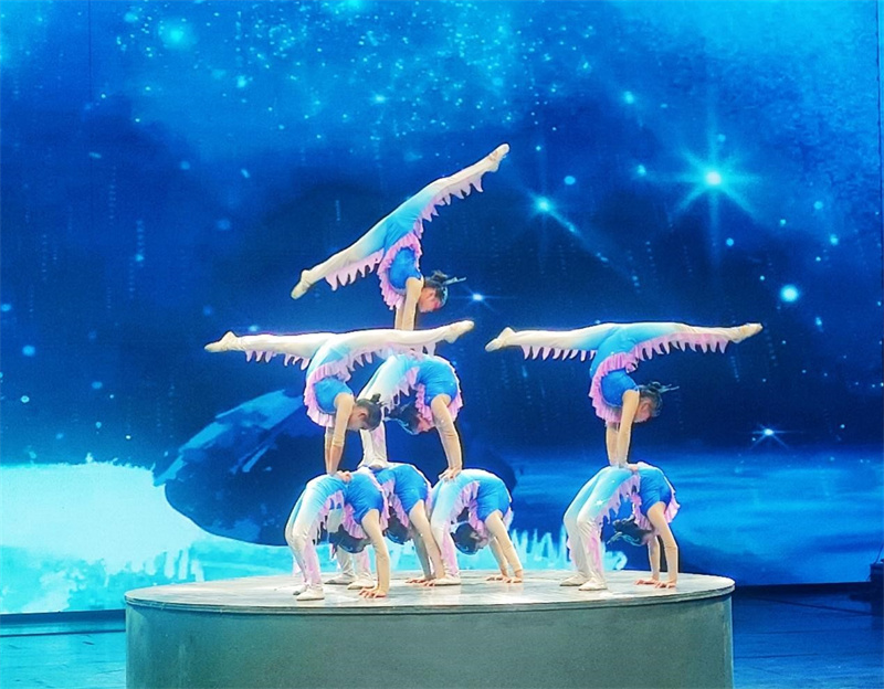 Heran?a acrobática tradional é desenvolvidas em Wuqiao, Cangzhou