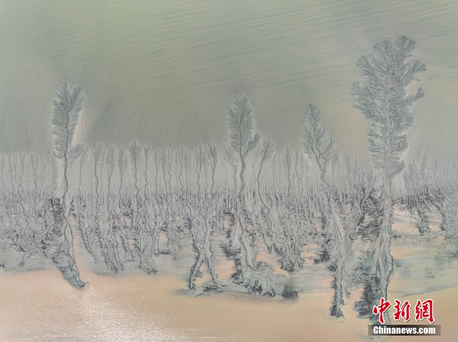 Galeria: paisagem de 