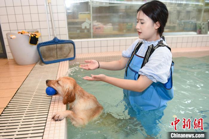 Loja de animais em Changsha lan?a piscina exclusiva para c?es