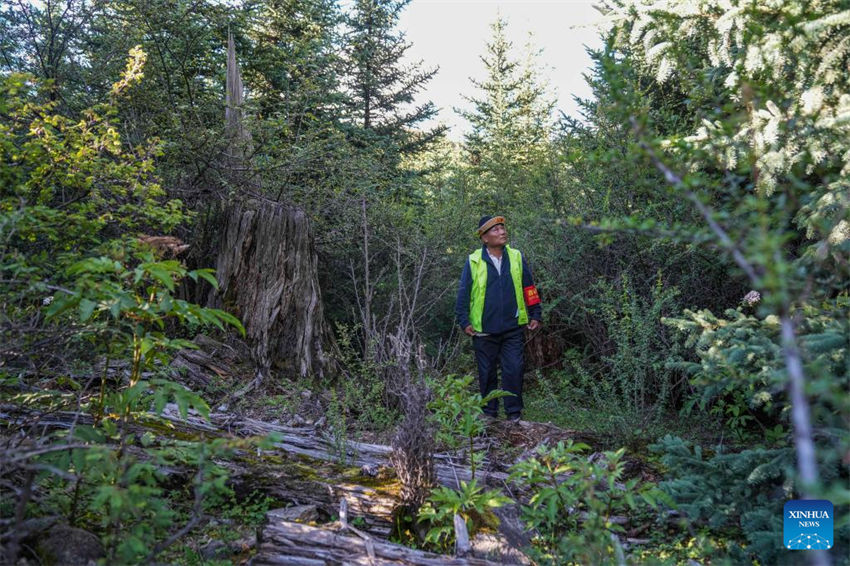 Tibete: vila em Nyingchi aposta no turismo ecológico como fonte de renda