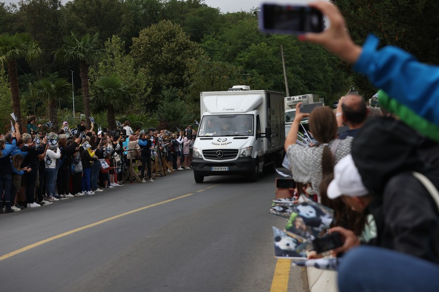 Franceses se despedem do panda gigante 