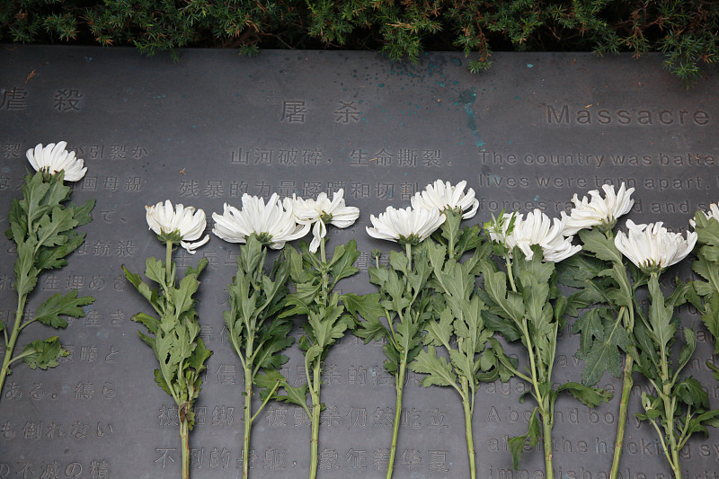 Chineses homenageiam vítimas do Massacre de Nanjing na véspera do 78o aniversário da rendi??o incondicional do Jap?o