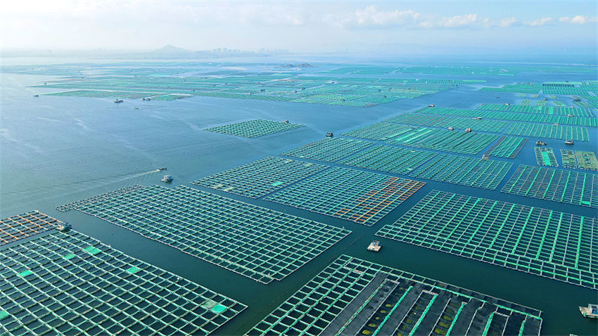 Integra??o das indústrias pesqueira e turística promove revitaliza??o rural no leste da China