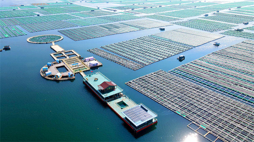 Integra??o das indústrias pesqueira e turística promove revitaliza??o rural no leste da China