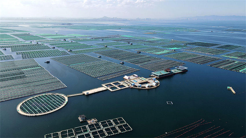 Integra??o das indústrias pesqueira e turística promove revitaliza??o rural no leste da China