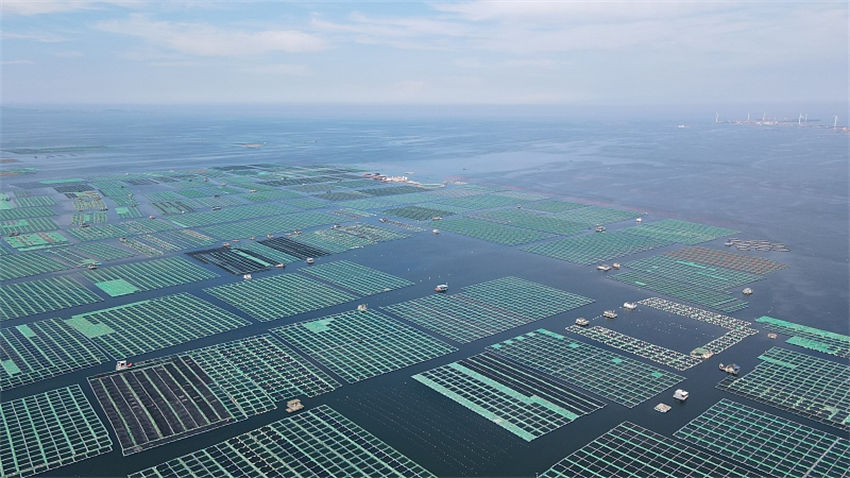 Integra??o das indústrias pesqueira e turística promove revitaliza??o rural no leste da China