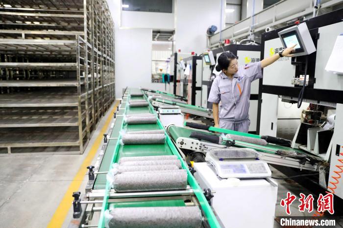 Indústria de cogumelos promove revitaliza??o rural no leste da China