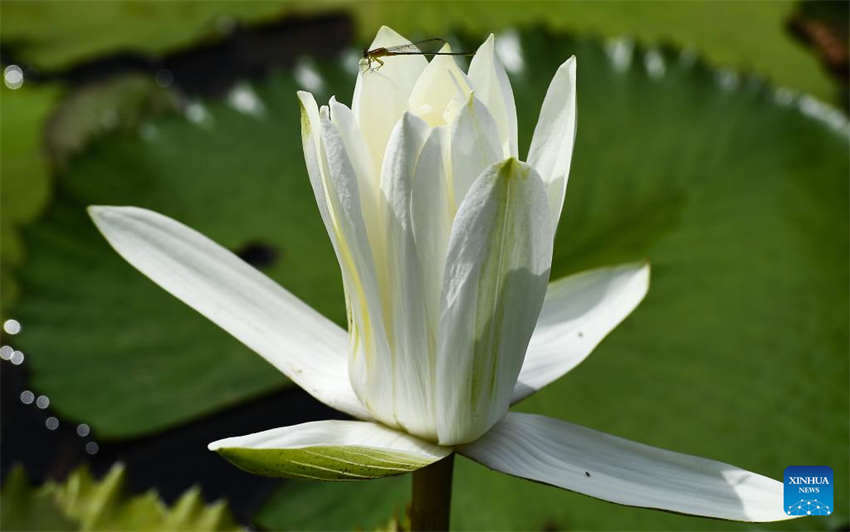 Haikou aposta na melhora das condi??es ecológicas