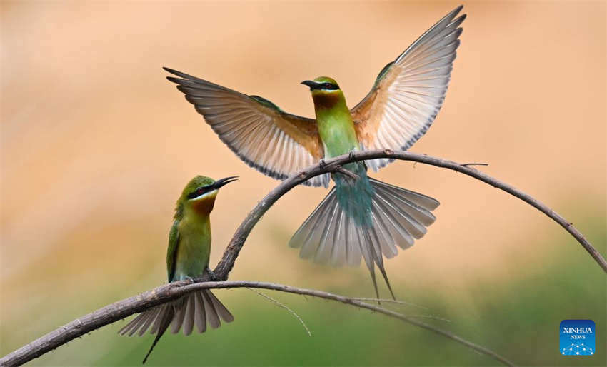 Haikou aposta na melhora das condi??es ecológicas