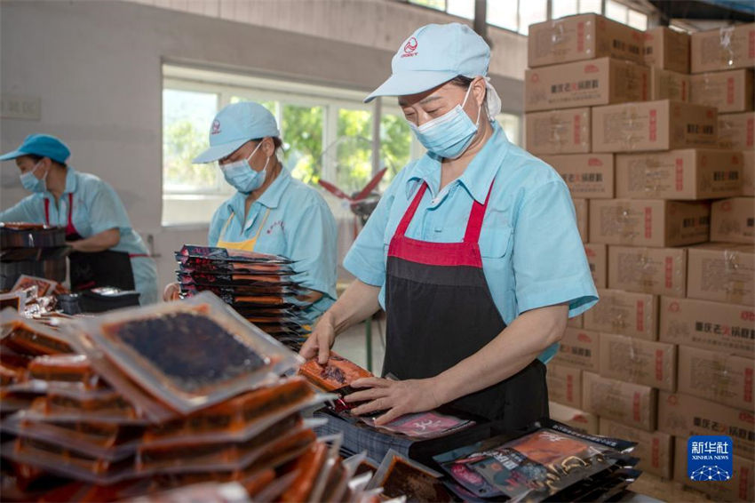 Chongqing: colheita de malaguetas contribui para a prosperidade nas regi?es rurais