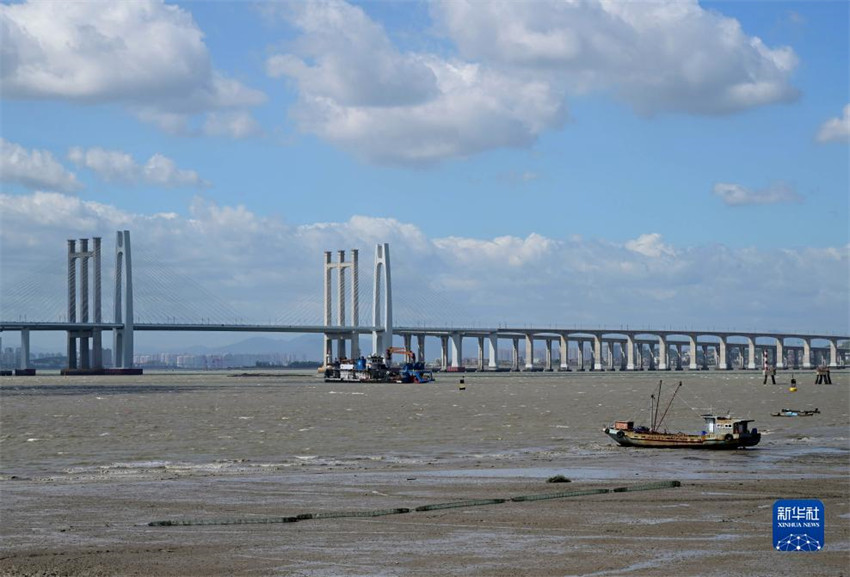 Província chinesa de Fujian emite alerta laranja após aproxima??o do tuf?o Saola