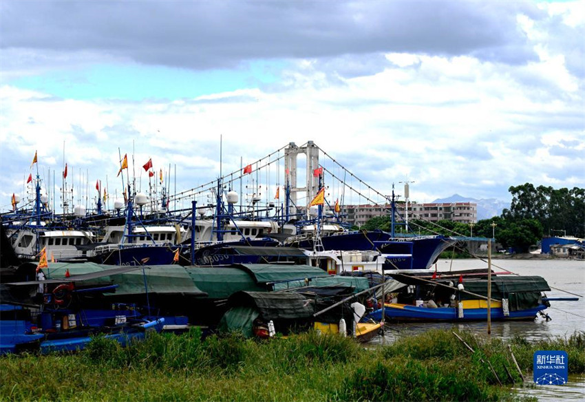 Província chinesa de Fujian emite alerta laranja após aproxima??o do tuf?o Saola