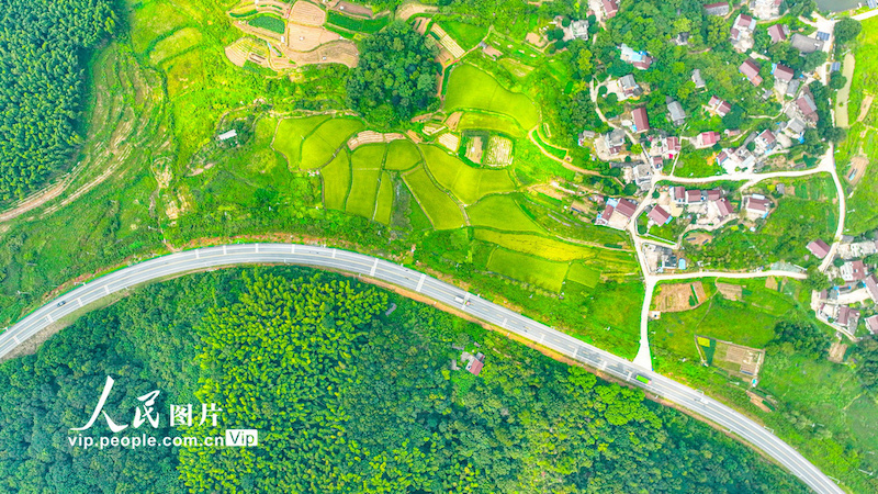 Estradas desimpedidas e beleza paisagística contribuem para revitaliza??o rural no leste da China