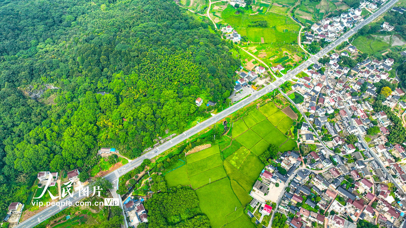 Estradas desimpedidas e beleza paisagística contribuem para revitaliza??o rural no leste da China