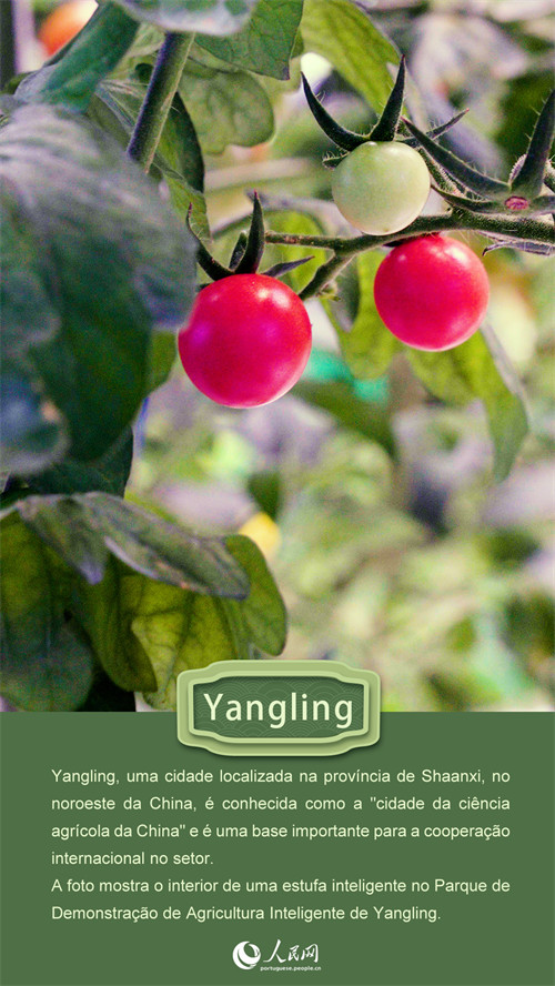 Cintur?o e Rota em imagens: diversidade paisagística e cultural