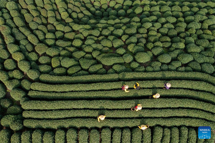 Vistas aéreas de Hangzhou, cidade-sede dos 19o Jogos Asiáticos