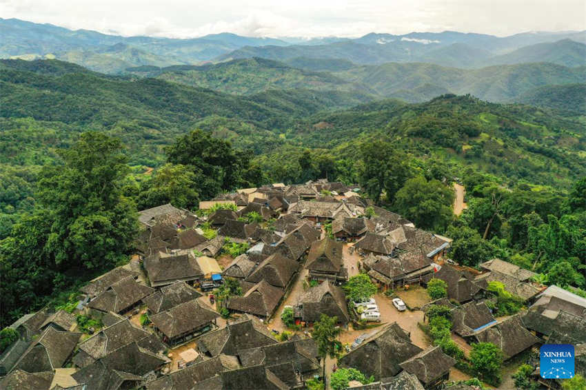 China: antigas florestas de chá em Pu'er s?o listadas como patrim?nio mundial