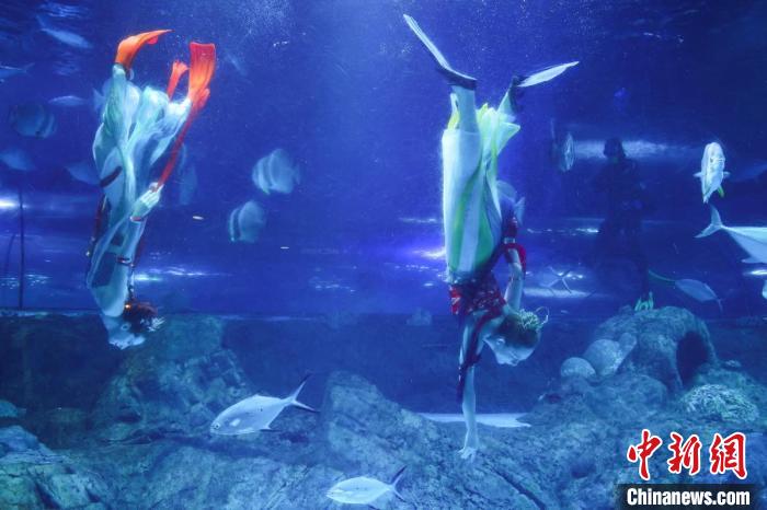 Dan?a criativa se destaca no Mundo Subaquático de Nanjing